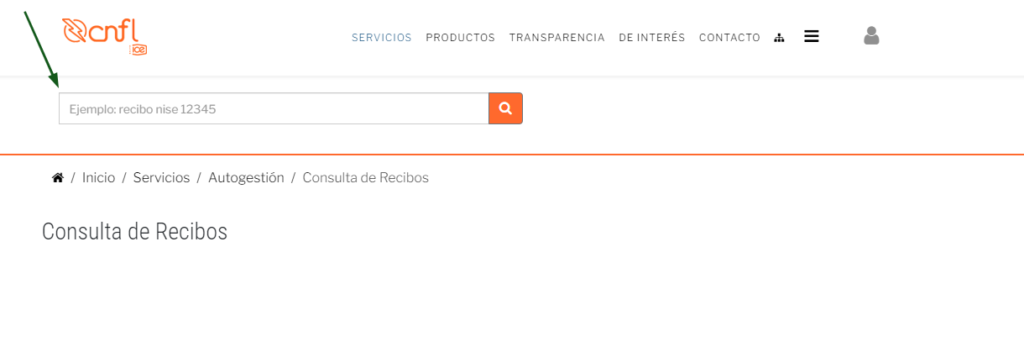 Cómo consultar el recibo de luz CNFL (Guía definitiva) Cómo consultar el recibo de luz CNFL