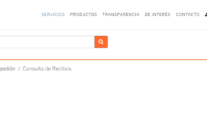 Cómo consultar el recibo de luz CNFL (Guía definitiva)