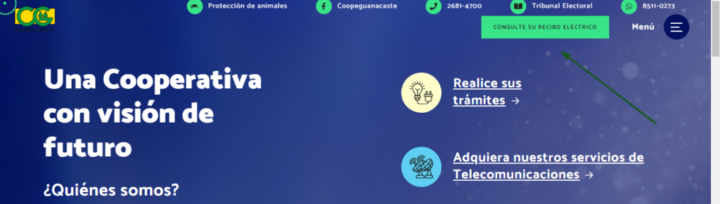 consultar recibo de luz Coopeguanacaste