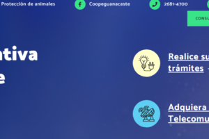 Consulta de recibos de luz en Coopeguanacaste (Guía paso a paso)
