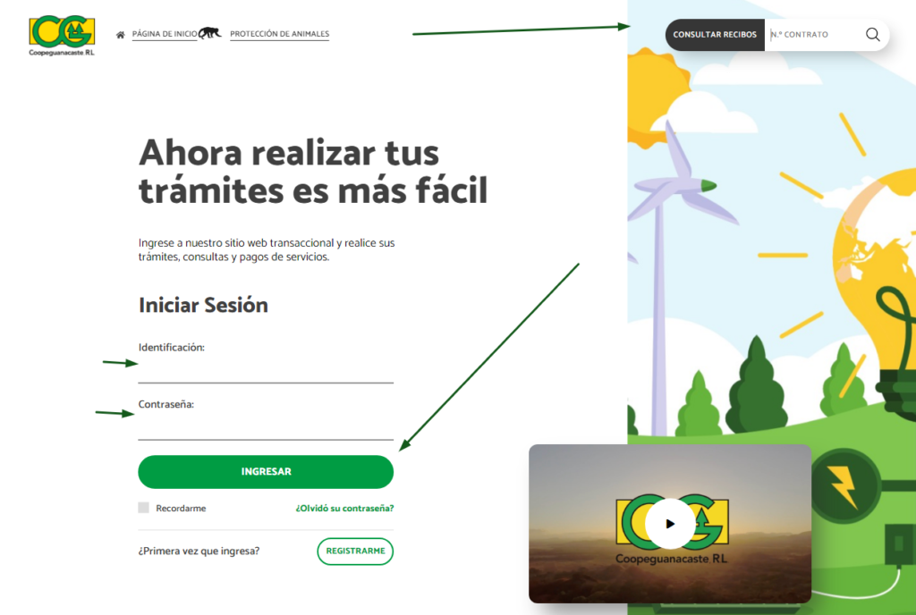 consultar factura de luz coopeguanacaste