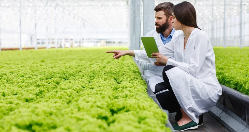 Cuánto gana un ingeniero agrónomo en Costa Rica (Un análisis completo de su salario) Cuánto gana un ingeniero agrónomo en Costa Rica