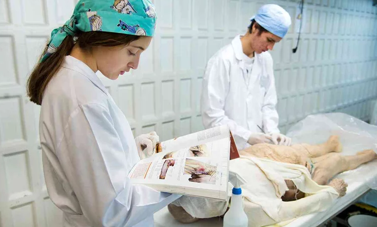 Cuánto gana un médico forense en Costa Rica (Un análisis detallado) Cuánto gana un médico forense en Costa Rica