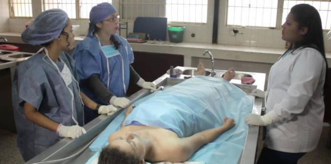 Cuánto gana un patólogo en Costa Rica (La especialidad médica más lucrativa) Cuánto gana un patólogo en Costa Rica