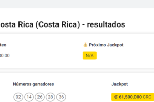 Cómo realizar una consulta de infracciones por placa en Costa Rica (Guía paso a paso)